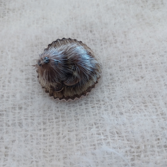 Vintage  fur Groundhog  brooch - Picture 2 of 5